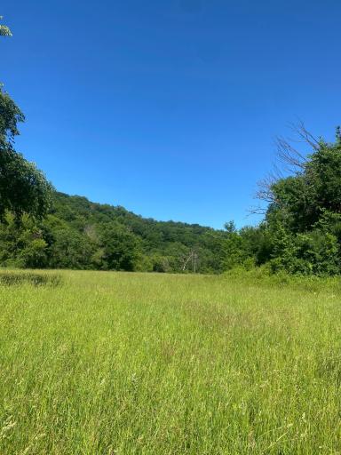 27333 Deep River Road, Lanesboro, MN 55949