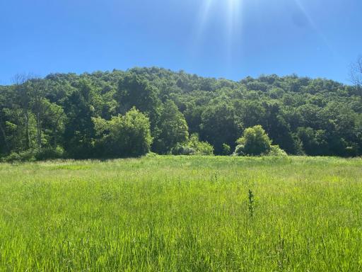 27333 Deep River Road, Lanesboro, MN 55949