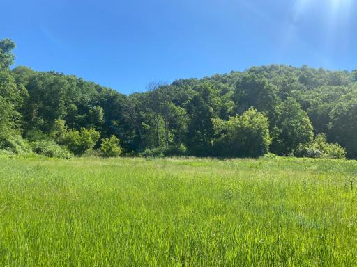 27333 Deep River Road, Lanesboro, MN 55949