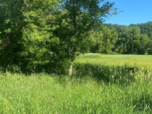 27333 Deep River Road, Lanesboro, MN 55949