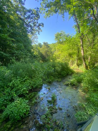 27333 Deep River Road, Lanesboro, MN 55949