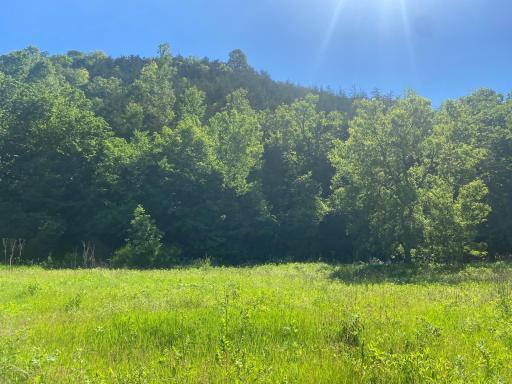 27333 Deep River Road, Lanesboro, MN 55949