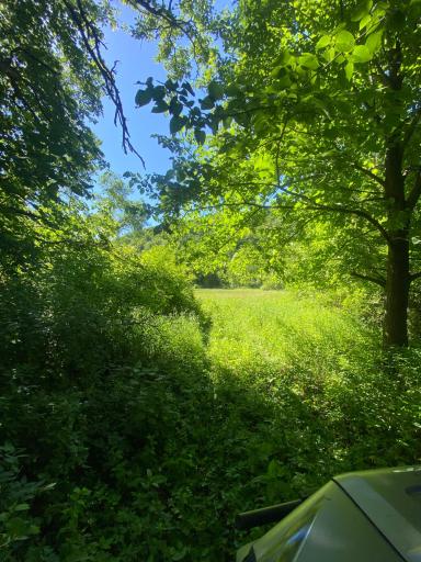 27333 Deep River Road, Lanesboro, MN 55949