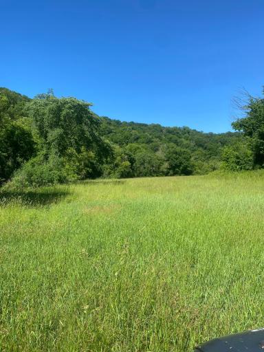 27333 Deep River Road, Lanesboro, MN 55949