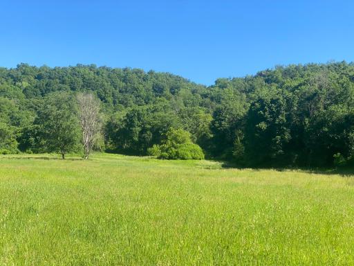 27333 Deep River Road, Lanesboro, MN 55949