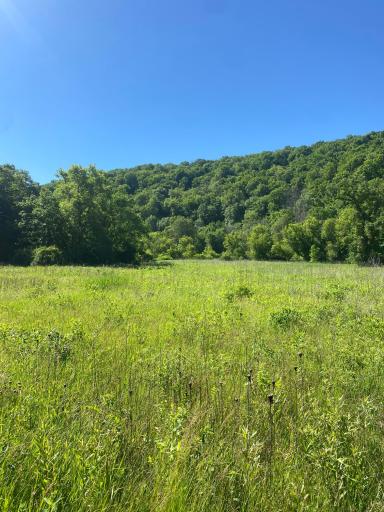 27333 Deep River Road, Lanesboro, MN 55949