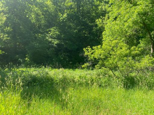27333 Deep River Road, Lanesboro, MN 55949