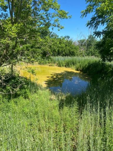 27333 Deep River Road, Lanesboro, MN 55949