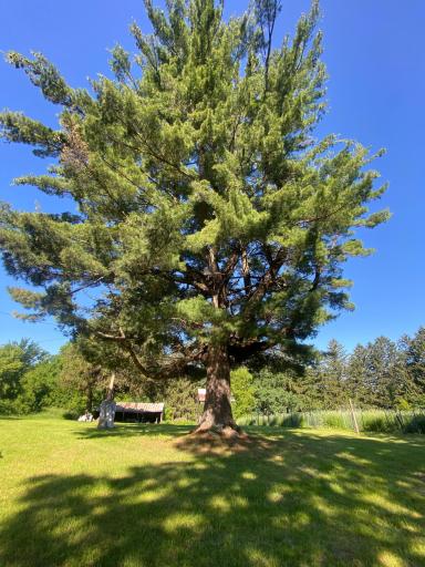 27333 Deep River Road, Lanesboro, MN 55949