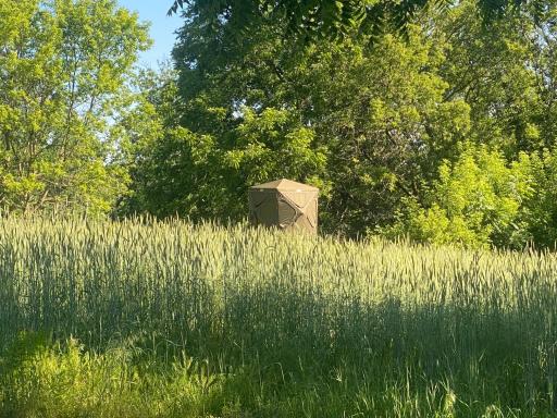 27333 Deep River Road, Lanesboro, MN 55949