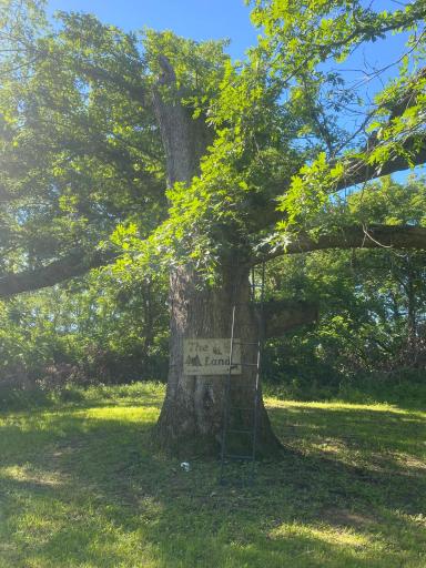 27333 Deep River Road, Lanesboro, MN 55949