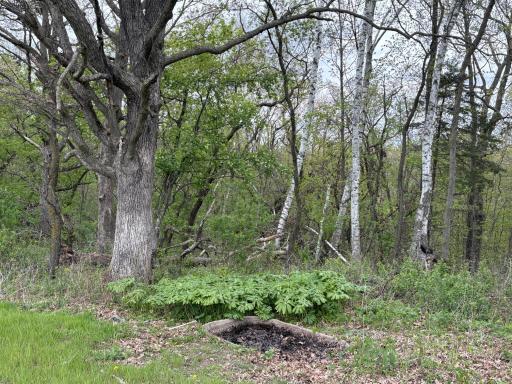 27333 Deep River Road, Lanesboro, MN 55949