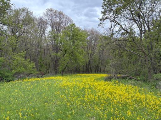 27333 Deep River Road, Lanesboro, MN 55949