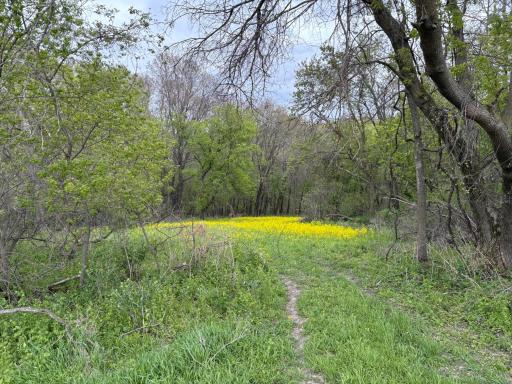 27333 Deep River Road, Lanesboro, MN 55949