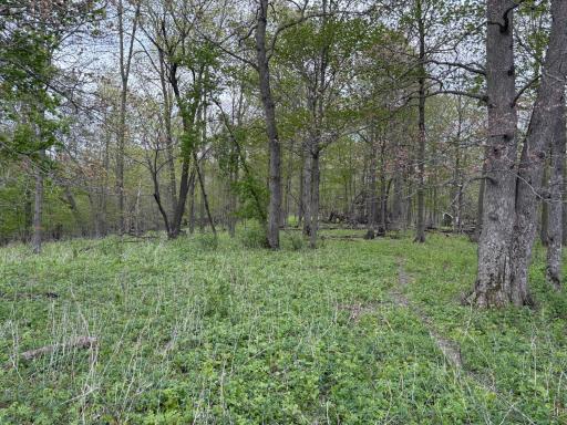 27333 Deep River Road, Lanesboro, MN 55949