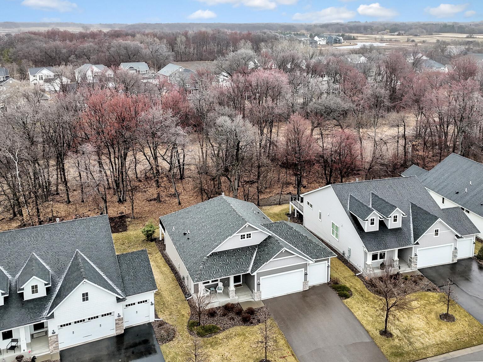 Mature red oak trees