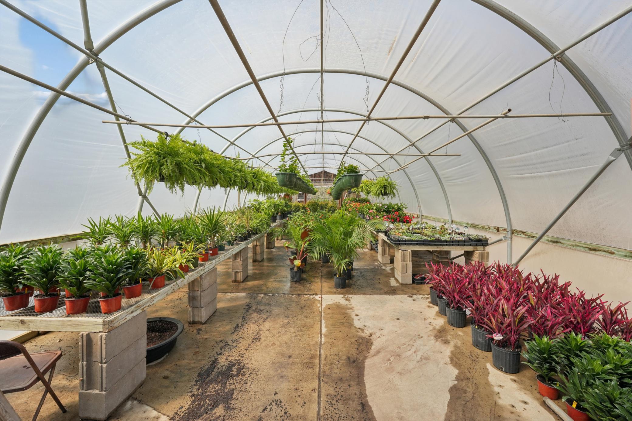 Inside Green House