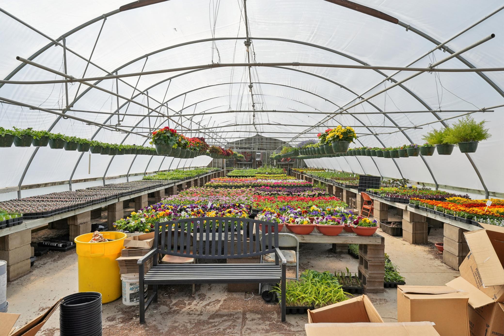 Inside Green House