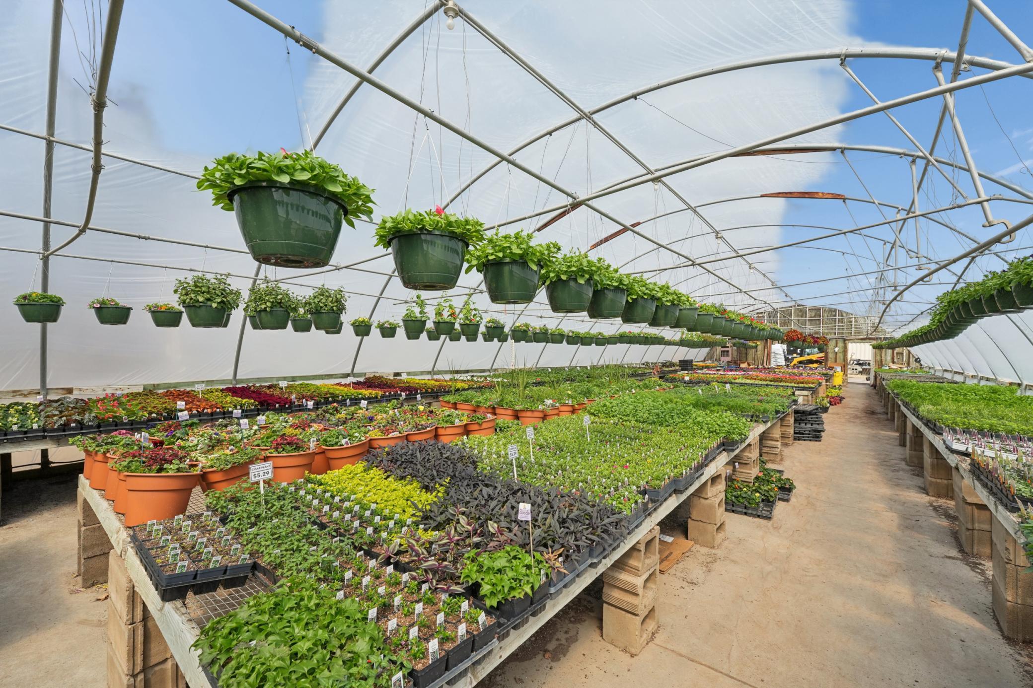 Green House - Rare Opportunity