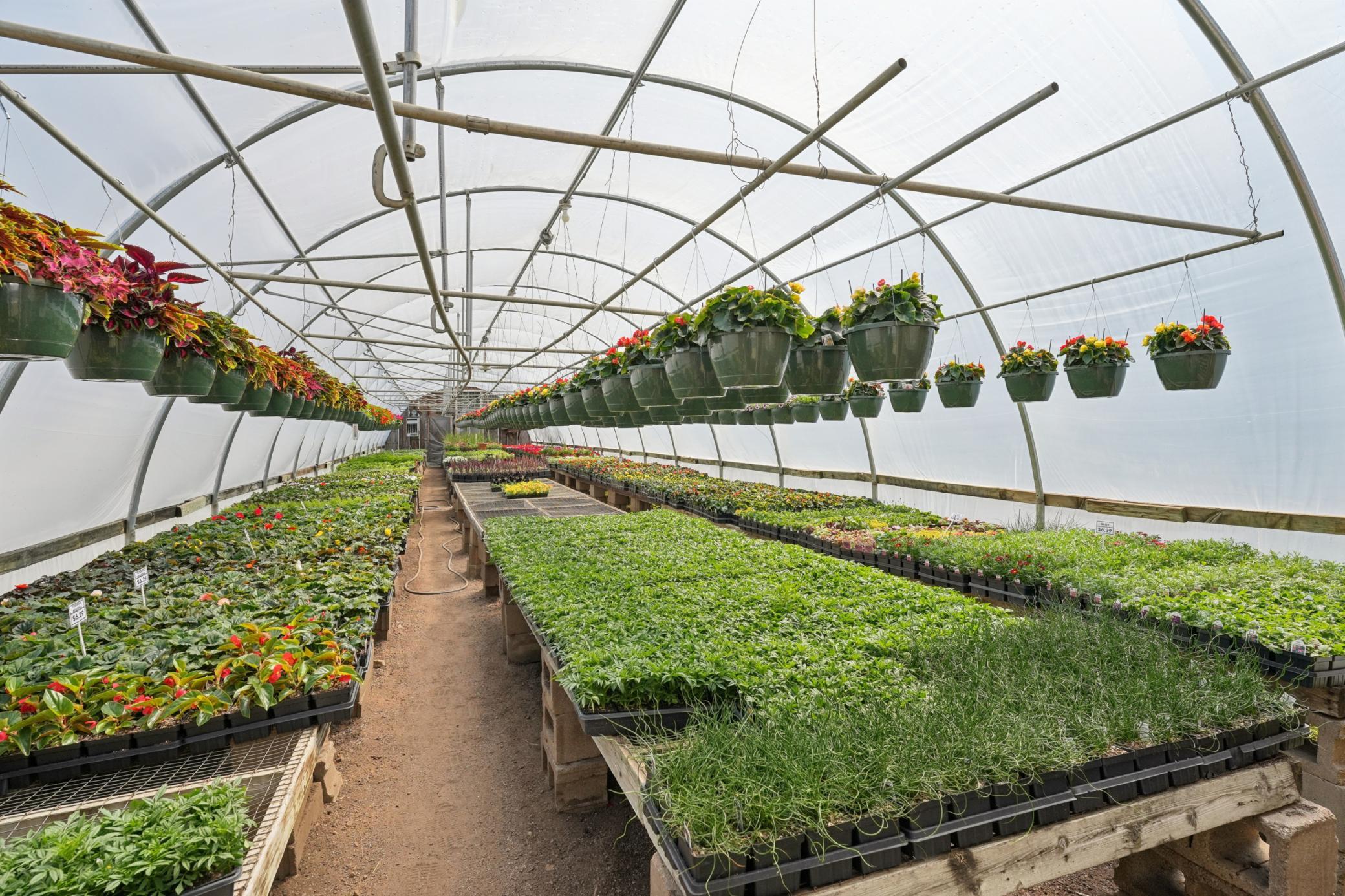 Green House