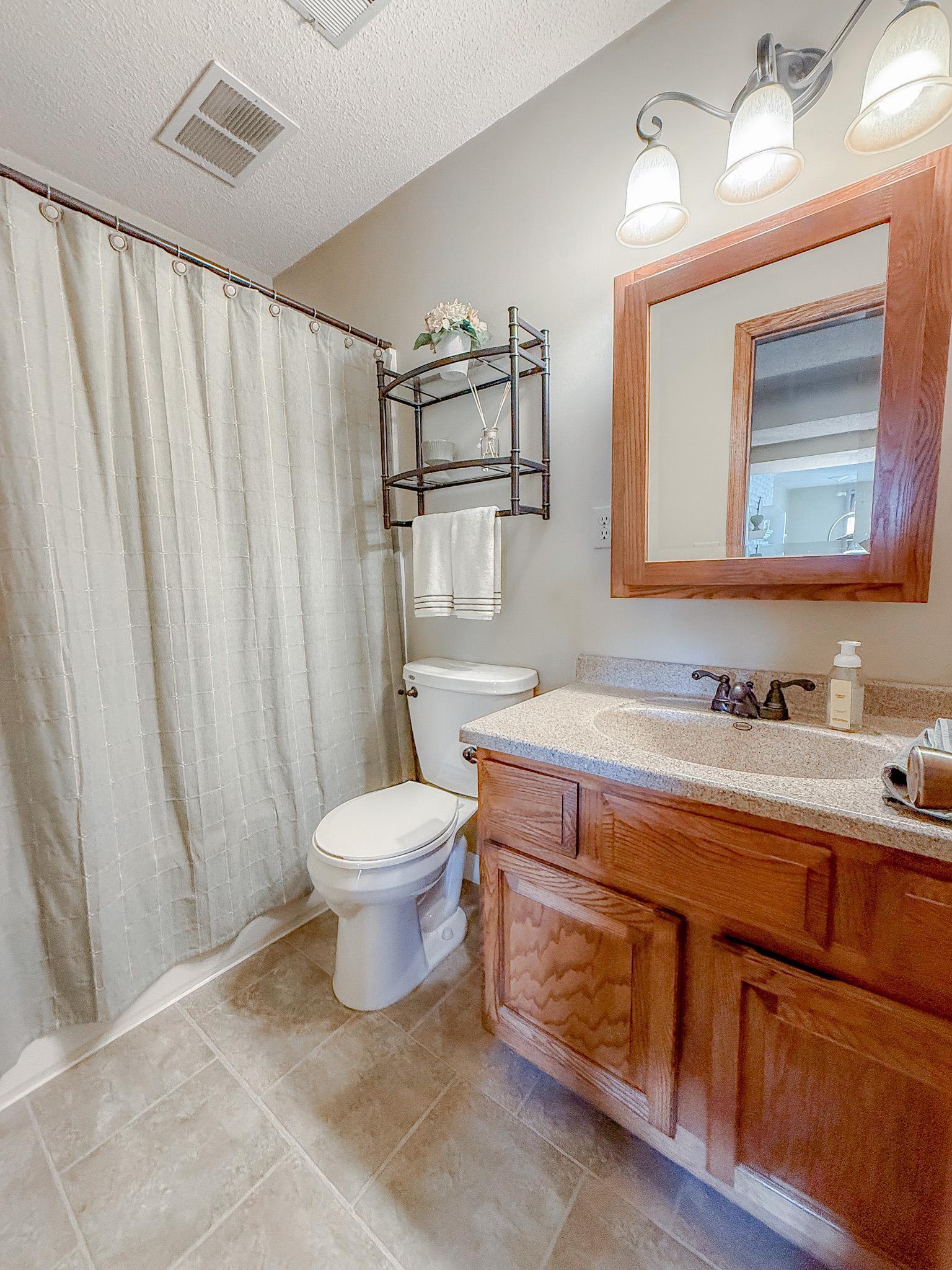Lower level full bathroom