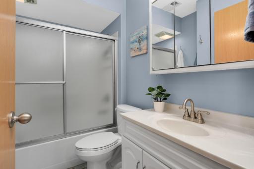 Full lower level bath.