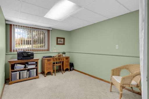 Lower level 4th bedroom/office space.