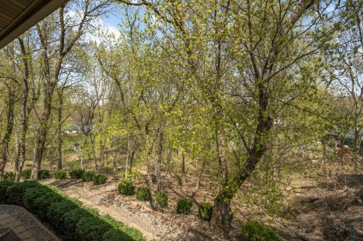 Private wooded lot in all its natural beauty.