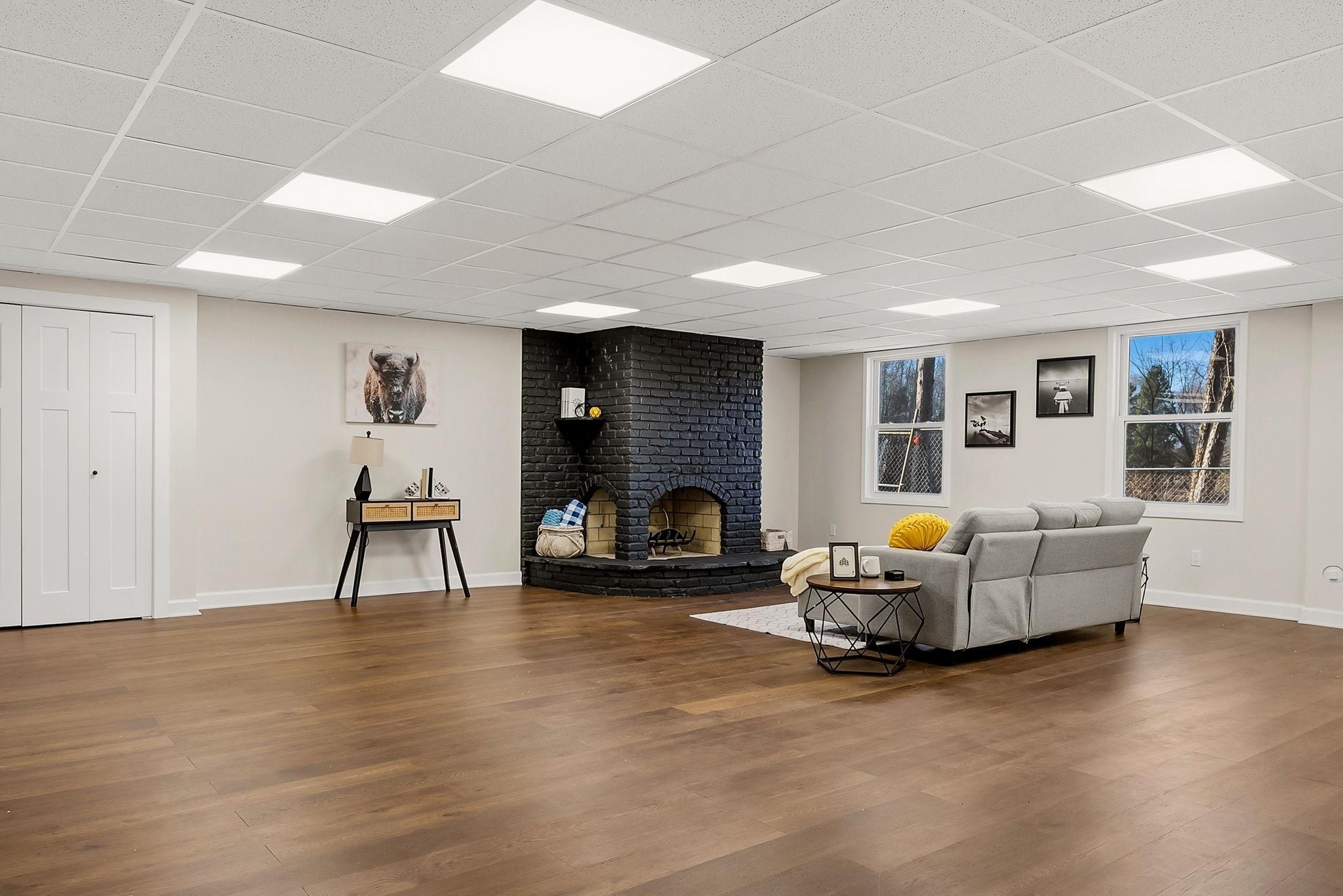 lower level family room/recreation room