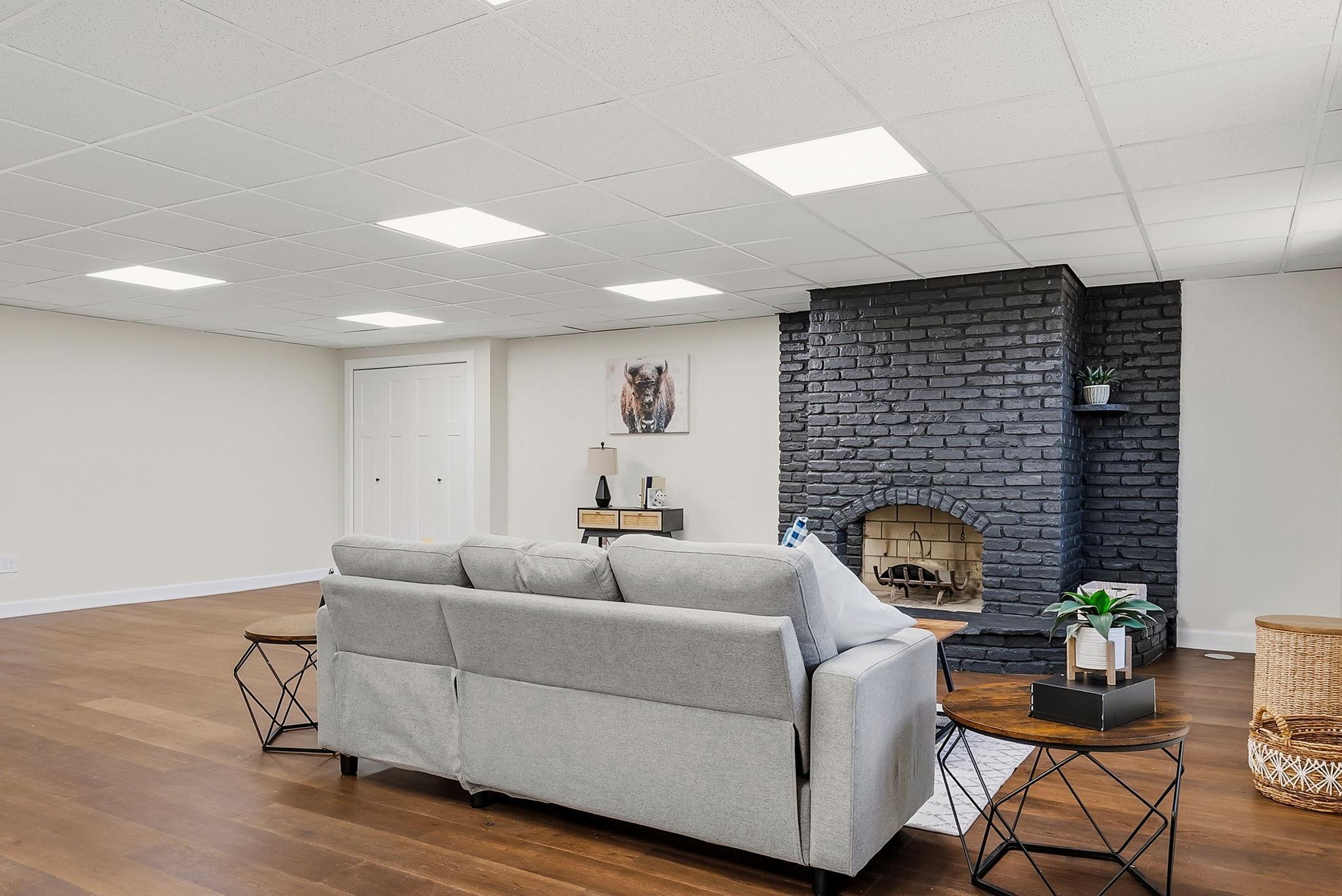 lower level family room/recreation room