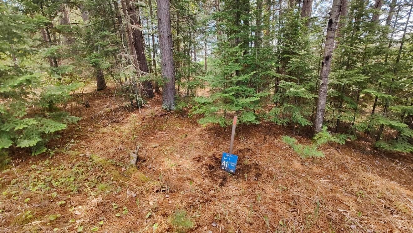 Property photo for 80064 Osprey Pass, Tower, MN 55790