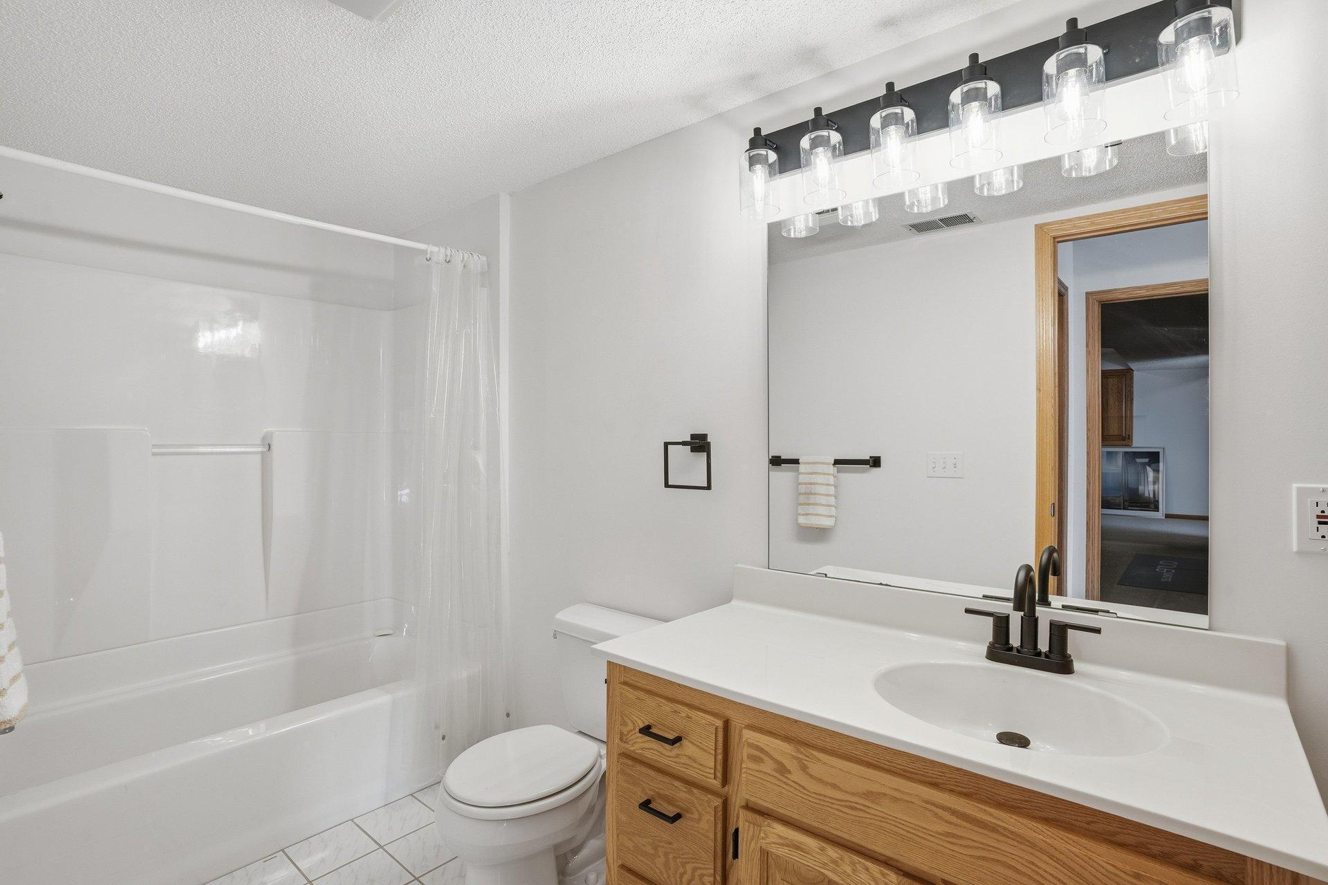 Lower level bathroom