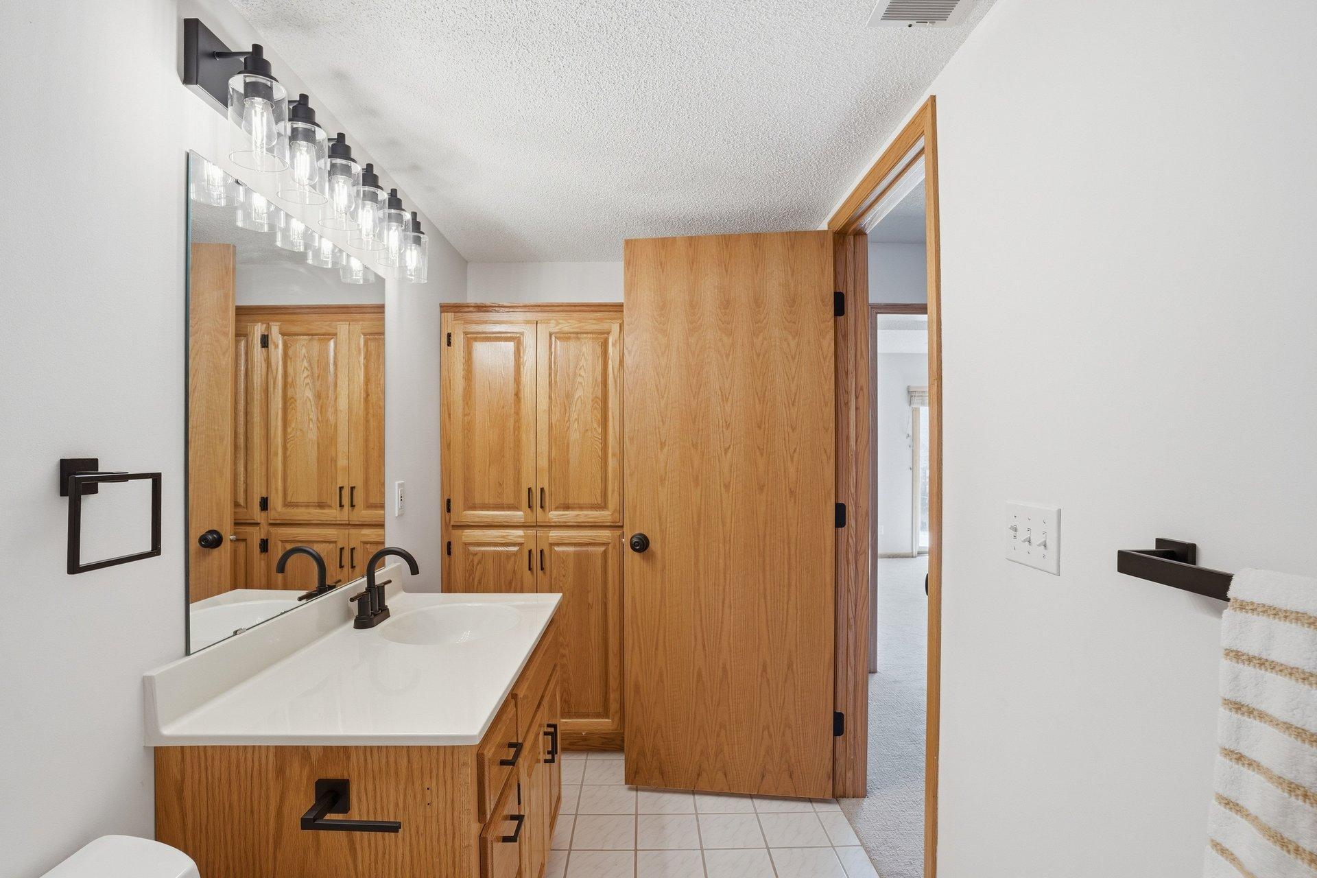 Lower level bathroom