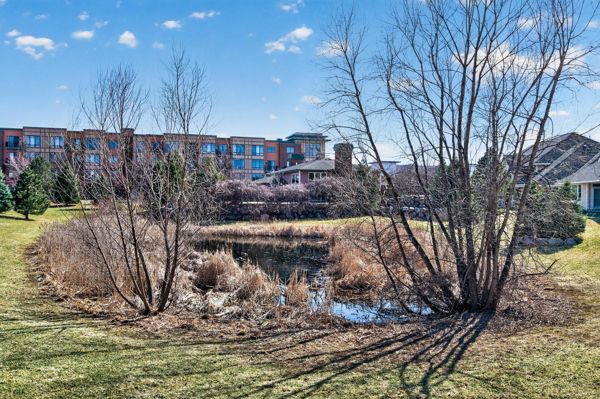 Serene pond view just beyond the backyard, offering a tranquil setting and beautiful seasonal scenery.