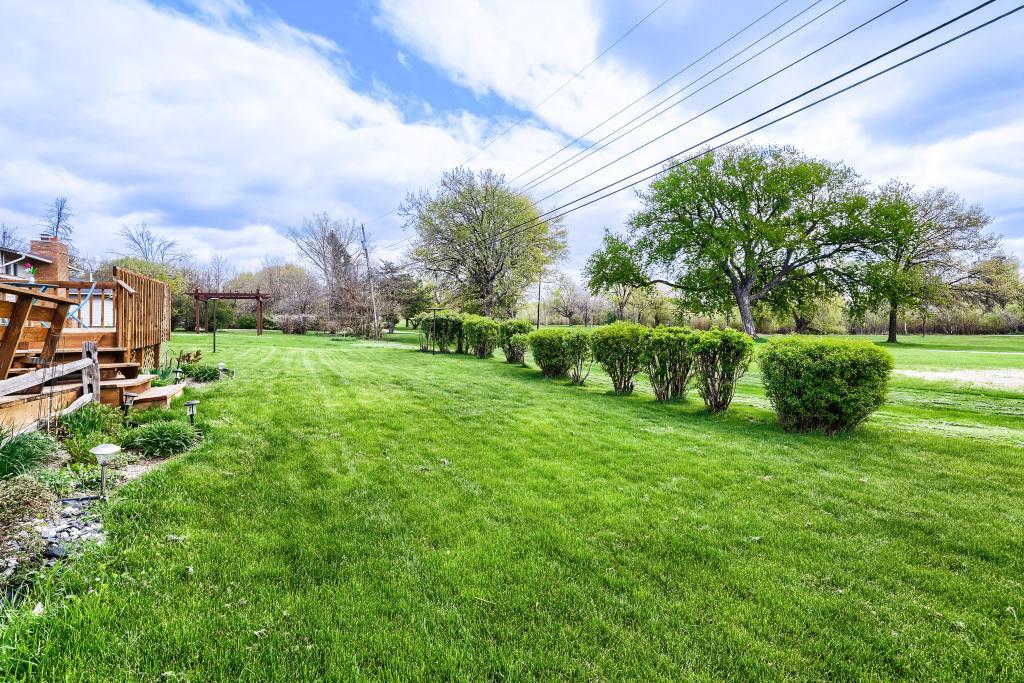 Beautiful backyard