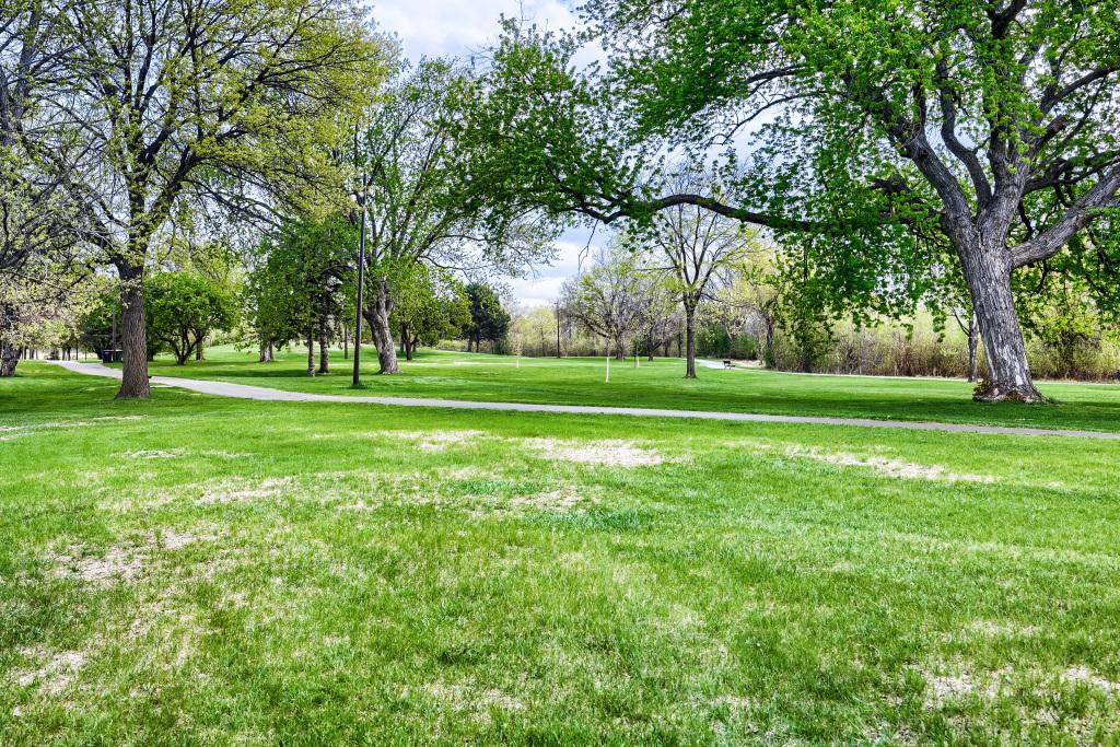 Park in backyard
