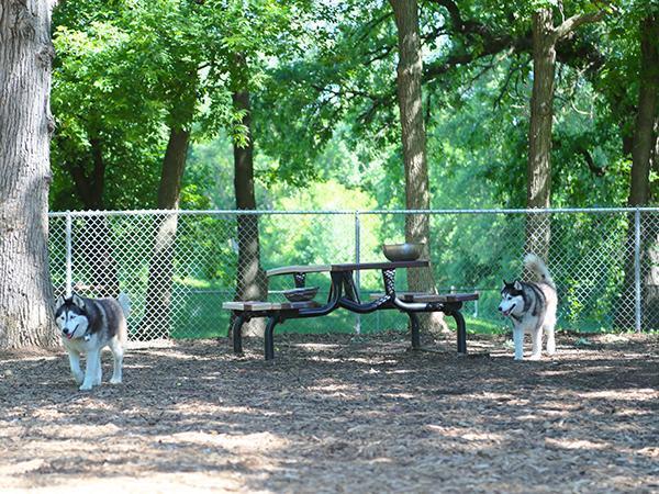 Dog park.jpg