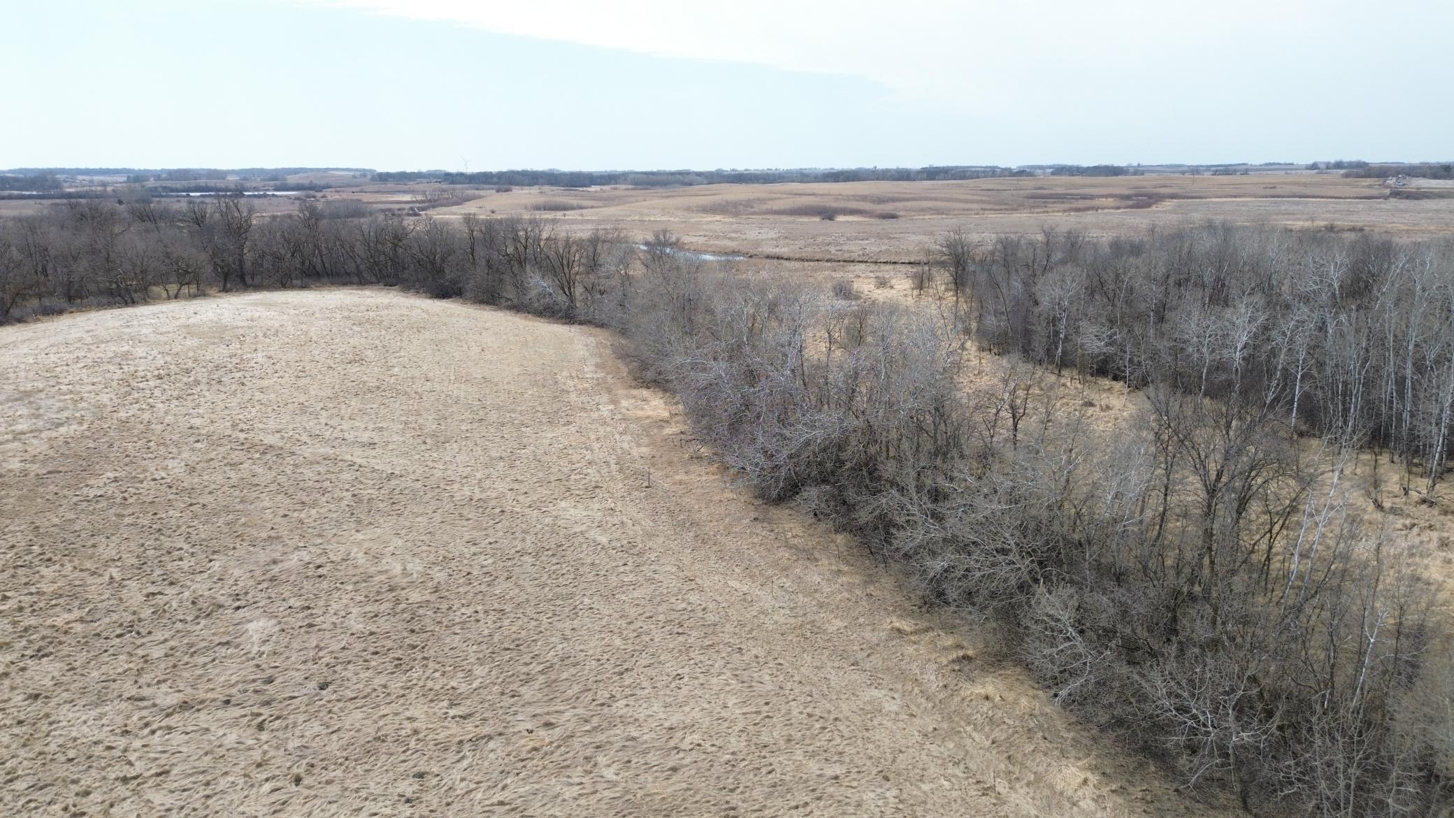 NW Corner of the Property Looking S W.JPG