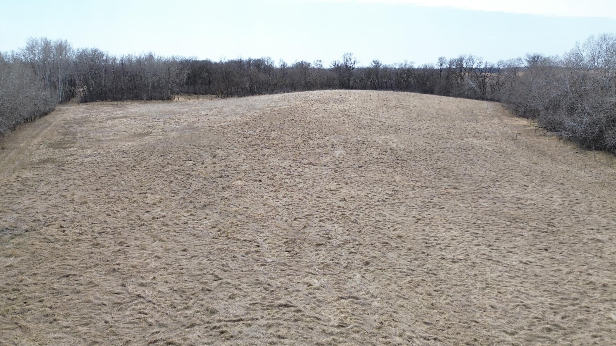 Meadow in NW Corner.JPG