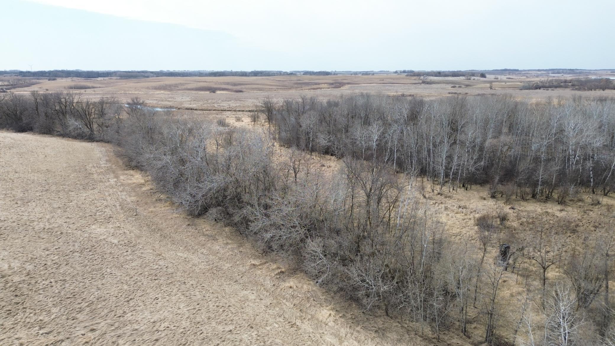 Pelican River West Side of Property.JPG
