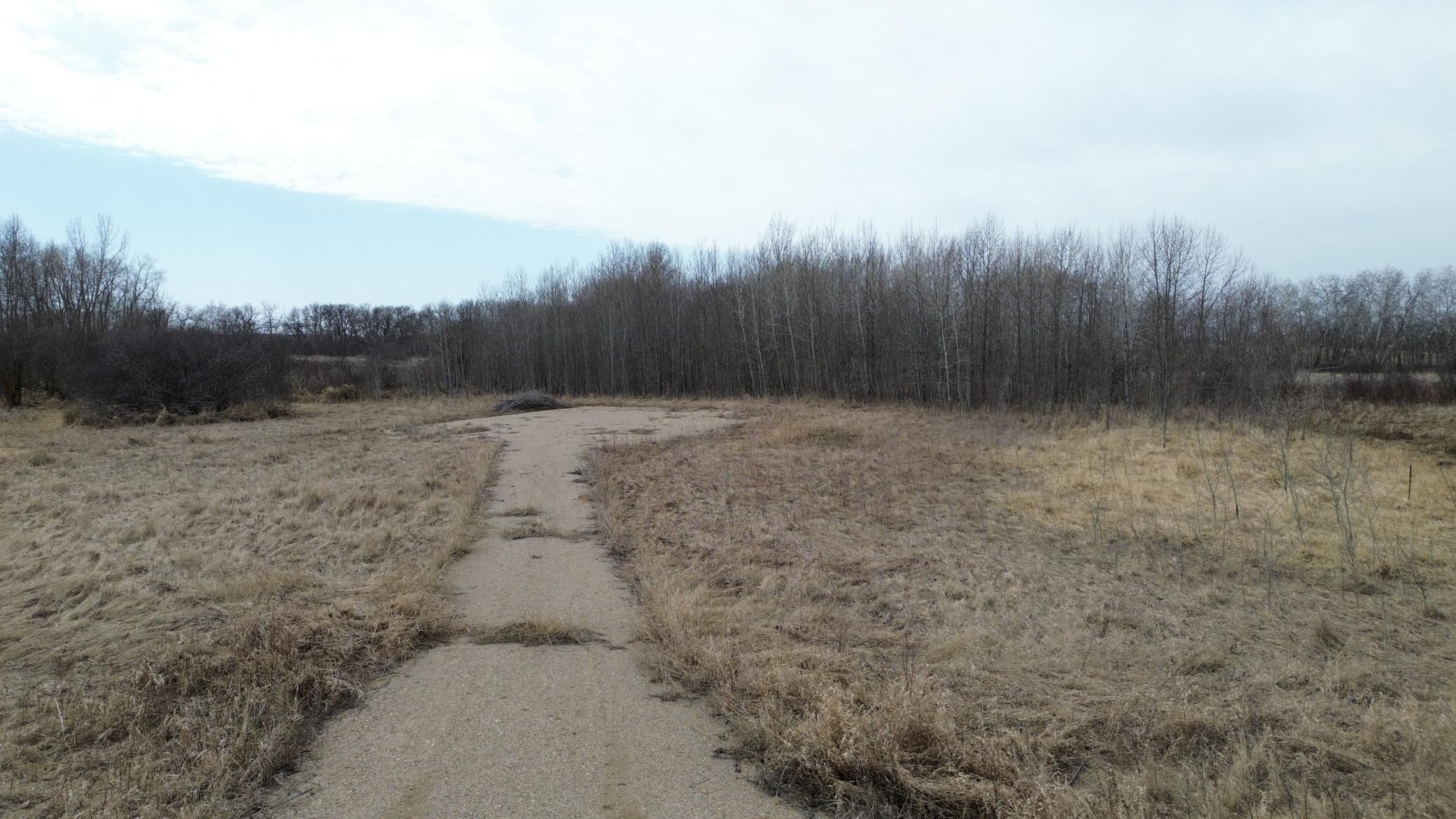 Driveway to Building Site.JPG