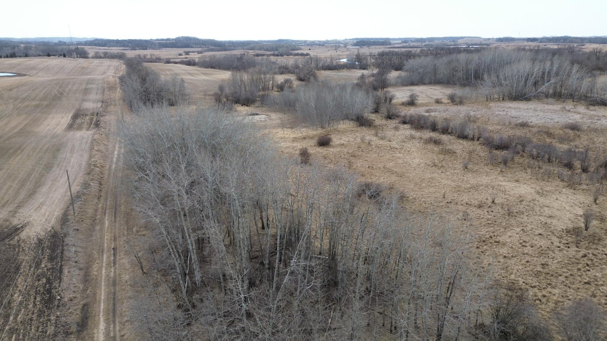 Electric Line on East Side of Property.JPG