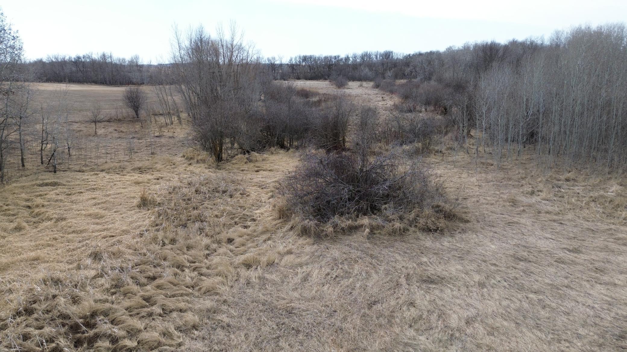 Center of the Property looking SW.JPG
