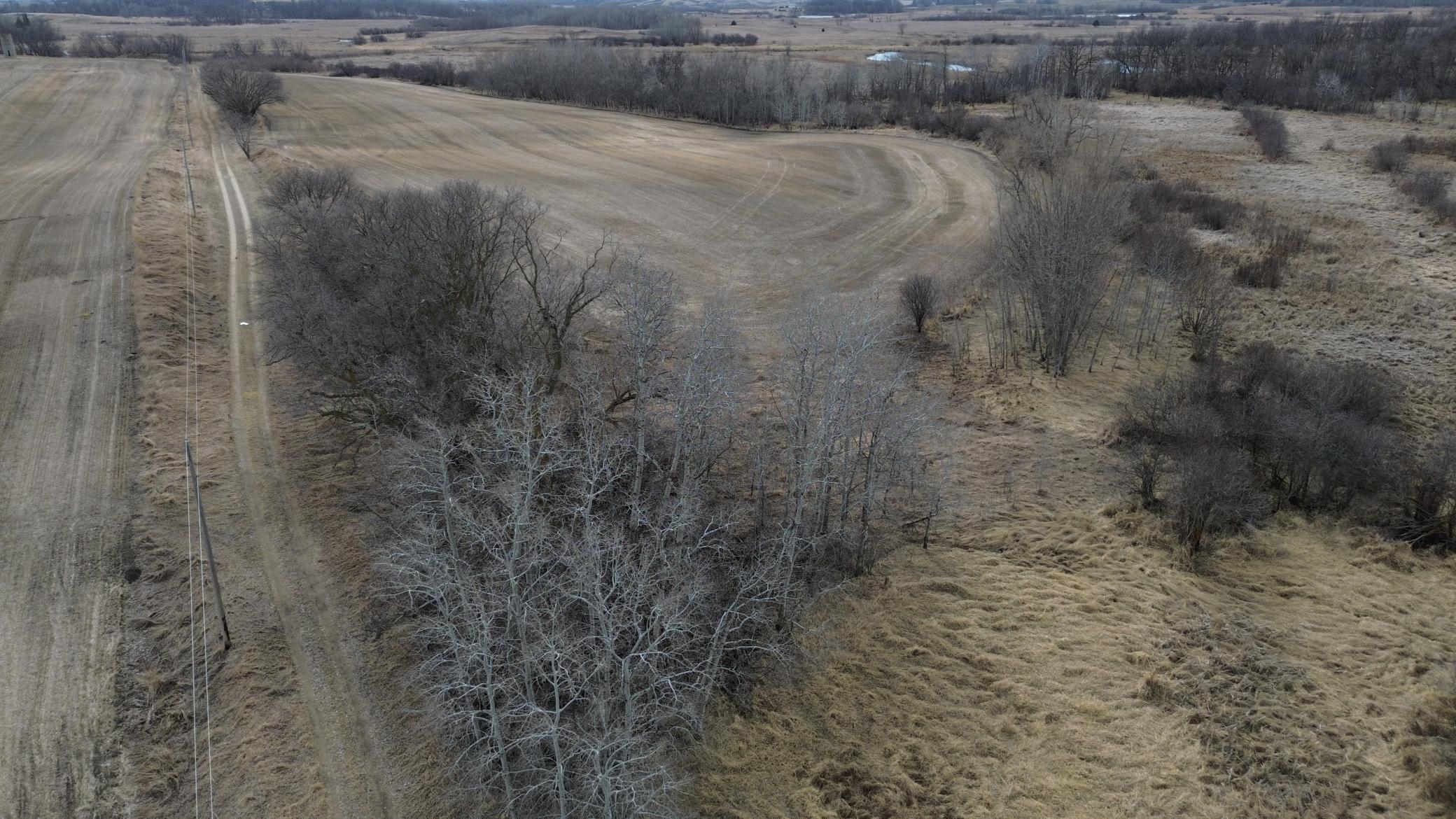 East Side of Property Looking South.JPG