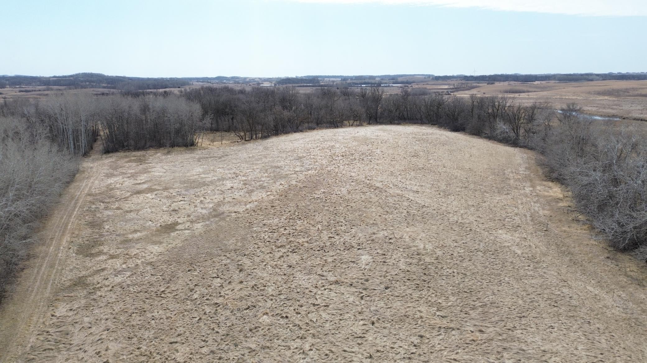 Meadow Surrounded by Heavy Cover.JPG