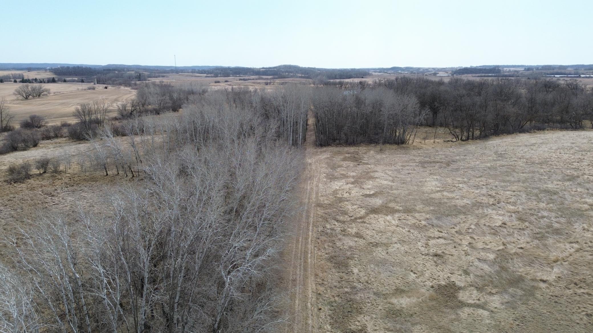 Trail Through the Center of the Property.JPG