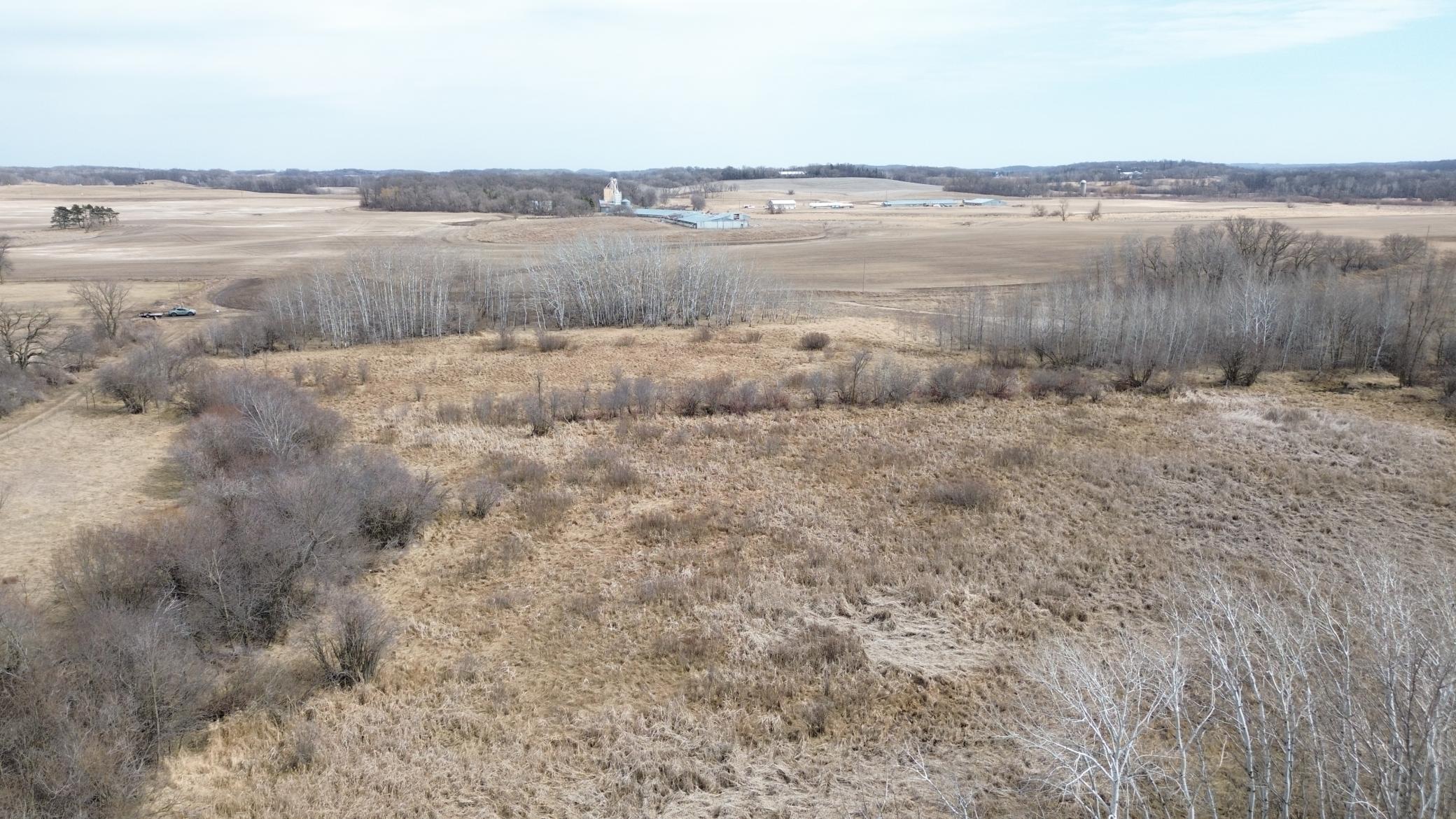NE Corner of the Property.JPG