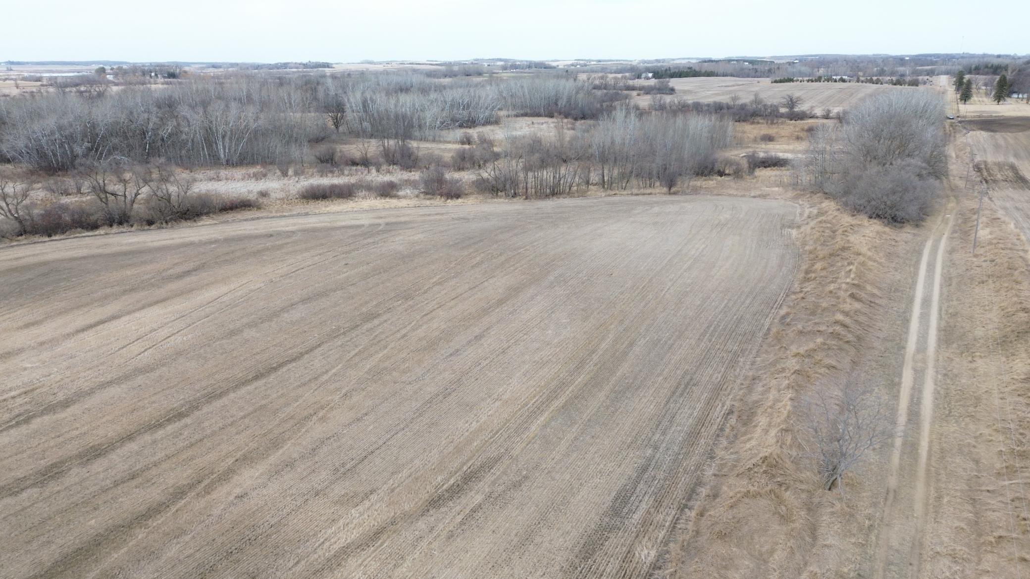 S E Corner of the Property.JPG