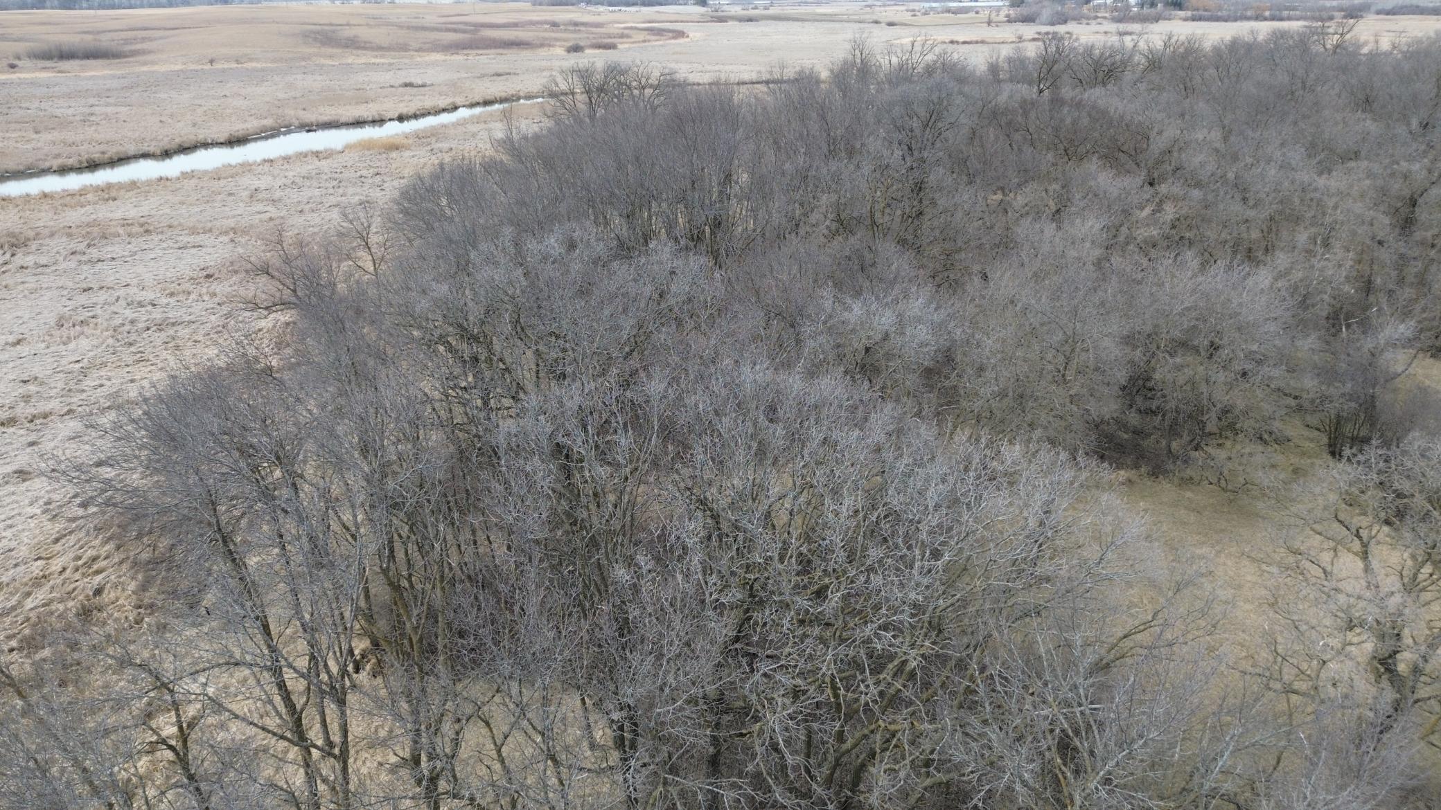 Pelican River West of Property.JPG