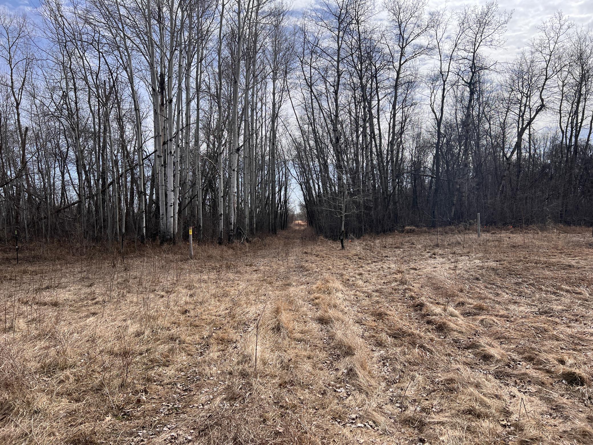 Trail Through the Center of the Property.JPG